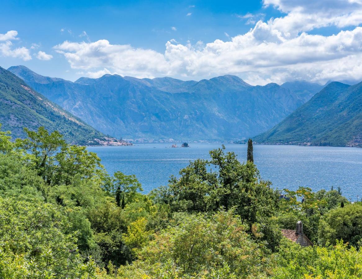 Villa Amfora Lipci Dış mekan fotoğraf
